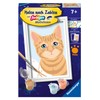 Ravensburger Painting by Numbers 23756 Cute Cat Children from 7