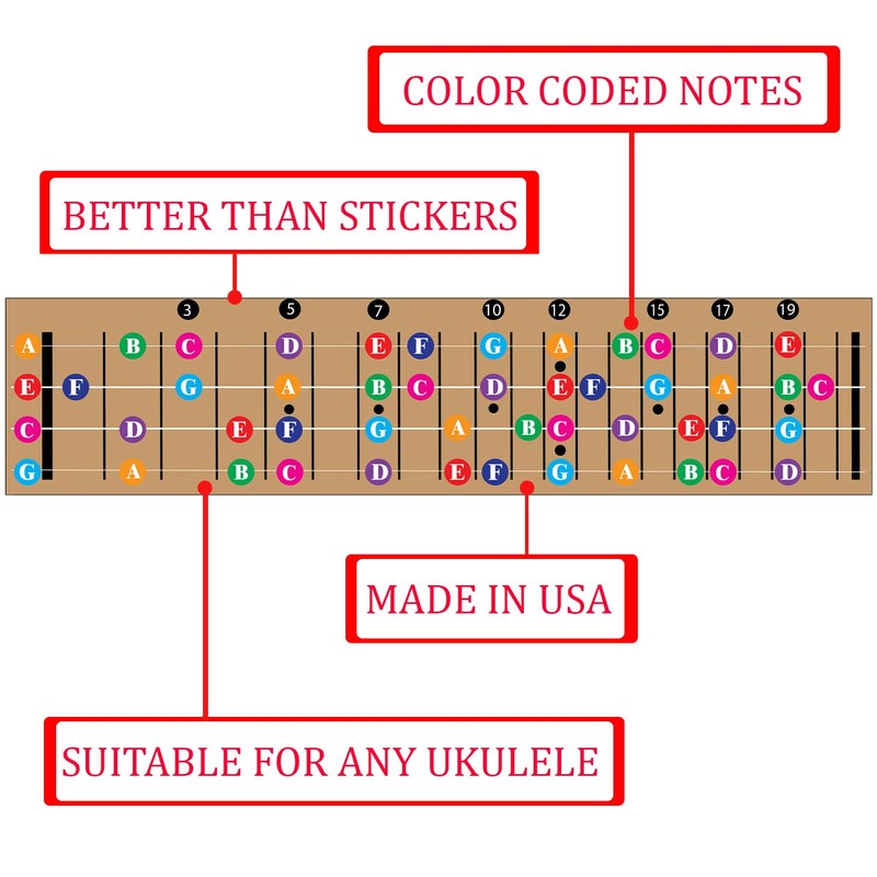 QMG Colour Coded Ukulele Guitar Fingerboard Note Chart Learning Guitar