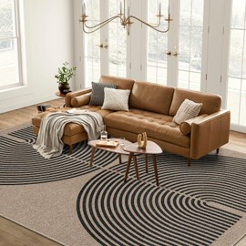 Lahome Modern Rainbow Easy Jute Carpet, 8x10 Living Room Rugs Indoor Outdoor Patio Dining Room Rug, Contemporary Farmhouse Non Slip Non Shedding Carpet for Deck Backyard