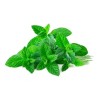 Semillas Aromaticas Cojines Y Compresas De Semillas Y Aromaterapia, Pack