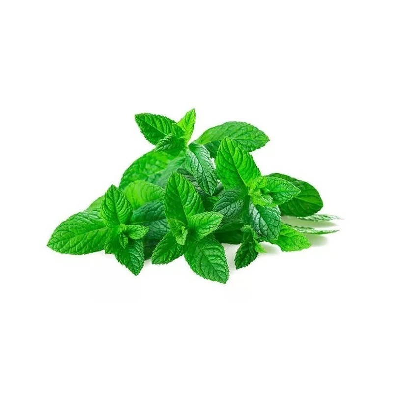 Semillas Aromaticas Cojines Y Compresas De Semillas Y Aromaterapia, Pack