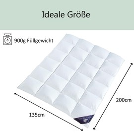 Pillow 1380 G + All Seasons Blanket Down Blanket Bed Cover Blanket Cassettes Duvet Quilt 53.15"x78.74" 90% Down 10% Feather Filling 1.98lbs NIP