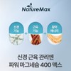 네이처맥스 신경 근육 관리엔 파워 마그네슘 400 맥스 120정 NatureMax