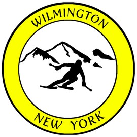 Athena Brands Wilmington New York Extreme Sports Skier - Car Truck Window Bumper Sticker Decal - Neon Yellow