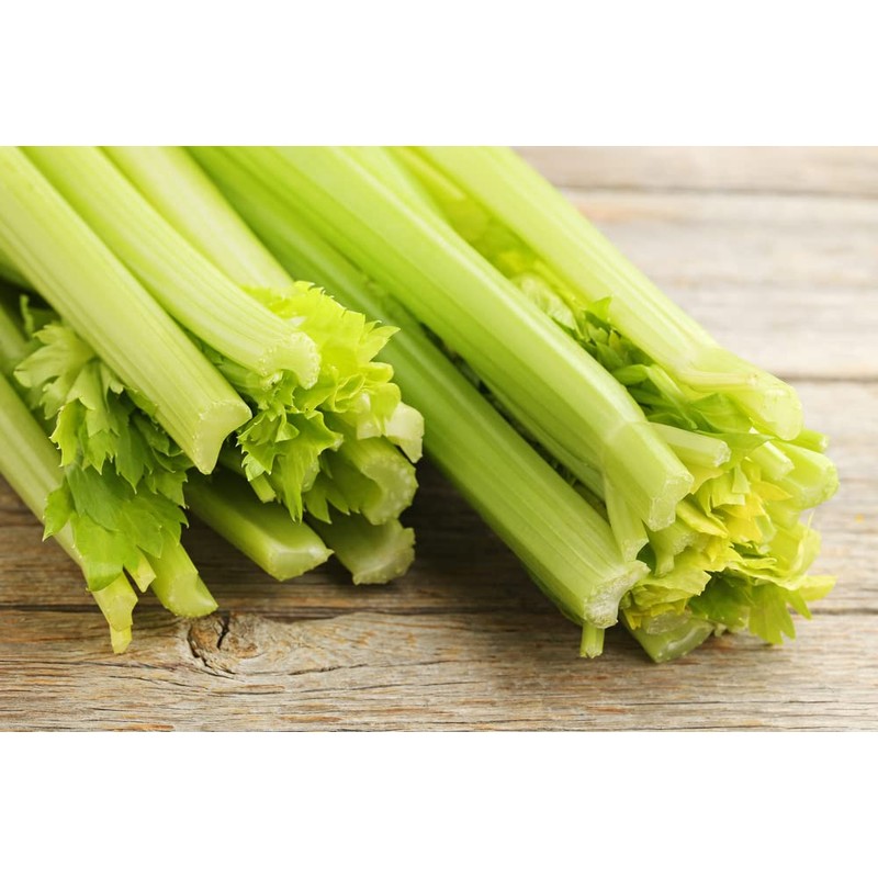 Golden Pascal Celery Seeds (Apium graveolens) – 1,000+ Non-GMO Heirloom