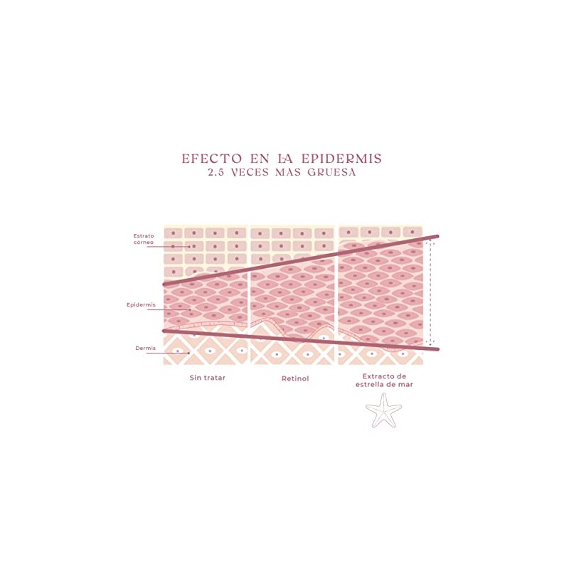 Serum Facial Anti Arrugas, Vitamina C, Extracto Estrella de Mar