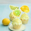 Dtzzou 24pcs Summer Lemon Cupcake Toppers Cute Fruits Cupcake Picks