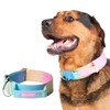 Spark Paws Tactical Dog Collar with Handle, Premium Quality, Robust