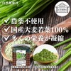 Shizen Health Co. Young Barley Powder, 100 Bottles, Green Juice,