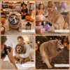 KIROGILY Disfraz Halloween Perro, Melena de León Realista