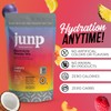 JUNP Sugar Free Electrolytes Powder Packets for Water Instant Hydration