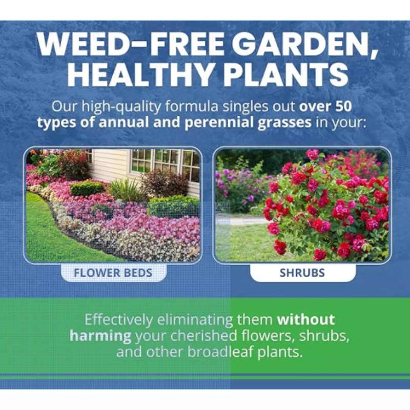 Agrisel GrassOut Max Weed Killer – Kills 50+ Grassy Weeds,