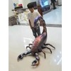 50 Inch Scorpion Foil Balloons Large Vivid 3D Balloons Party