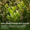 Bay Leaves Tea - 150 Dried Whole Leaves, 1.06 oz,