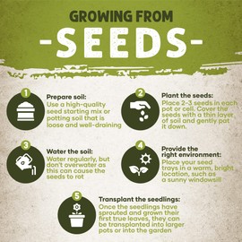 MySeeds.Co Brand, Zinnia Flowers Seeds in Multi-Colors Varieties, You Choose Colors and Sizes (4 oz (~ 17000 Seeds), Dahlia Flowered Mix)