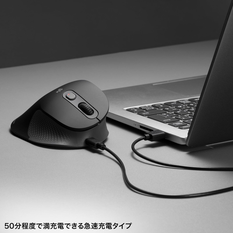 Sanwa Supply MA-EWBS528LBK Quiet Wireless Ergonomic Mouse (2.4 GHz Wireless,