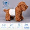 BPS BPS-2218 Male Dog Pet Hygiene Pants 3 Sizes to