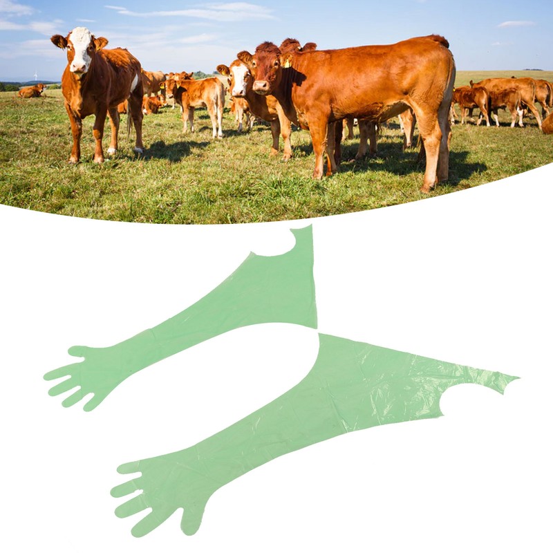 50Pcs Disposable Long Arm Glove PE Green Veterinary Examination Artificial