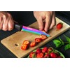 PurpleChef 10 Pieces Iridescent Rainbow Titanium Coated Kitchen Knives Set.