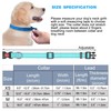 haapaw Reflective Dog Collar Padded with Soft Neoprene Breathable Adjustable