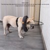 Blind Dog Collar Lightweight Adjustable Protective Ring Anti Collision Blind
