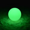 Pack of 1000 Plastic Box Bright Colour Fishing Glow Loose