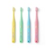 Dental Oral Care [Set of 25] Tuft 17M Assorted (Medium)