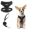 PUPTECK Small Dog Harness and Leash Set, No Pull Adjustable