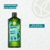Yves Rocher Pure Detox with Organic Algae Purifying Shampoo Sulfate