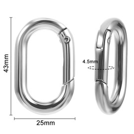 12 PCS Small Carabiner, Small Carabiner Clips, Spring Clip Rings, Metal Carabiners for Outdoor, Camping, Hiking, Fishing, Dog Leash (Silver)