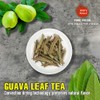GUAVA LEAF TEA 2.47 Oz (70g) VIETFARMFOOD: 100% Pure Convection