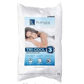 Memory Fiber Pillow StandardQueenJumbo 2 ct                                                                                                           