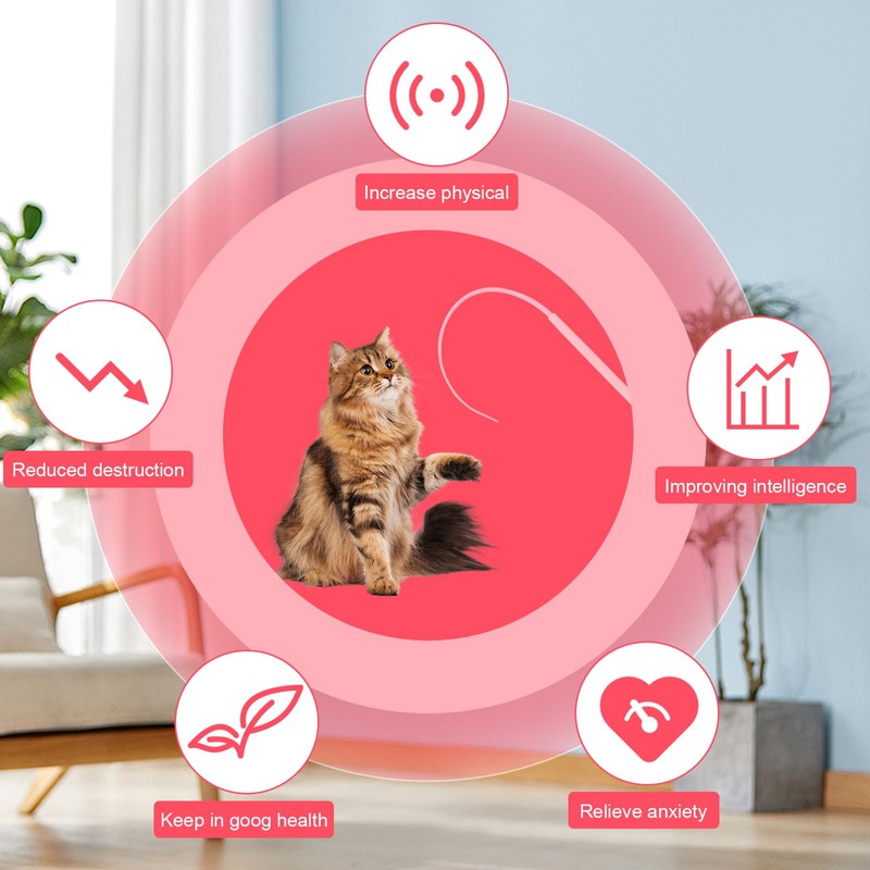 BELIHOME Katzenangel Cat Wand Interactive Cat Toy