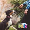 Fancy Pets Palitos de Carnaza de Res Sabor Natural para