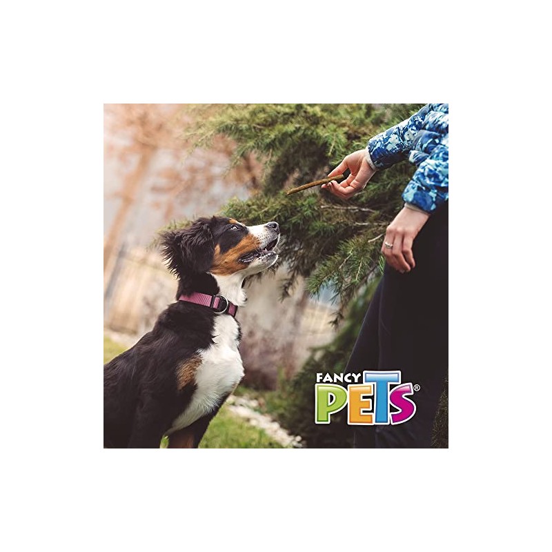 Fancy Pets Palitos de Carnaza de Res Sabor Natural para