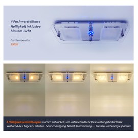 Dream lighting Ceiling Light 12 V Motorhome with Switch Caravan Ceiling Light Warm White 3000 K Dimmable with Blue Light 22 x 9 cm LED Interior Lighting
