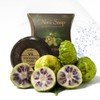 Noni soap 100gx3 using 100% noni extract from Vietnam / 노니 비누 100gx3개 베트남 100% 노니추출물 사용