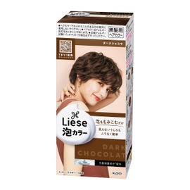 Liese Prettia Bubble Color Hair Dye