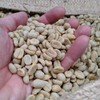 Rounton Coffee Roasters | 250g Green Colombian Unroasted Coffee Beans