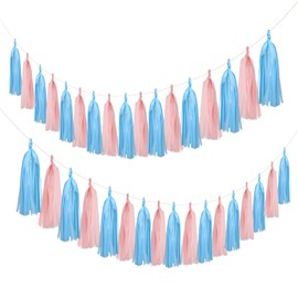 Mefuny 20PCS Gender Reveal Tissue Paper Tassel Banner Baby Pink Blue Tissue Garland for Gender Reveal Party Decorations Boy or Girl Baby Shower Decorations Pink and Blue Decorations