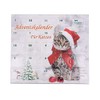 Ollesch Cat Toy Advent Calendar for Cats Christmas Sizes All