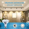 MISDOOD PAR30 Long Neck Halogen Bulbs, 120V 60W PAR30 Flood