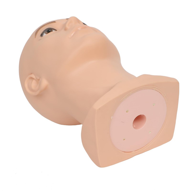 Bald Mannequin Head Training Head Male Bald Mannequin Head Cosmetology