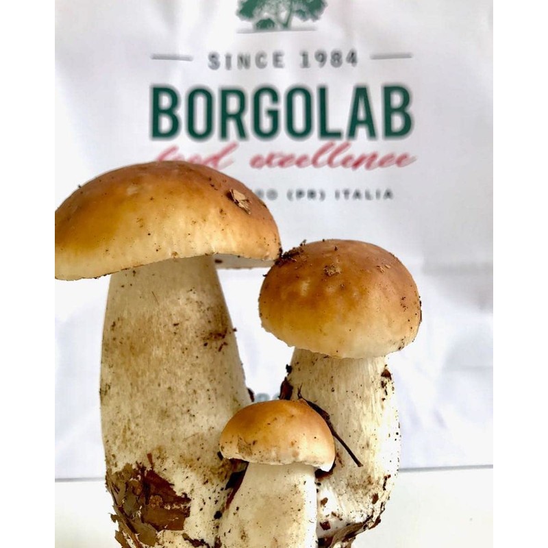 Porcini Mushrooms in Olive Oil - Brogolab - Borgotaro