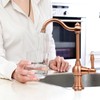 Copper Kitchen Water Filter Faucet, Brass Body 100% Lead-Free Drinking