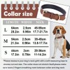 Genuine Leather Padded Dog Collar Comfortable Strong Soft Collars Best
