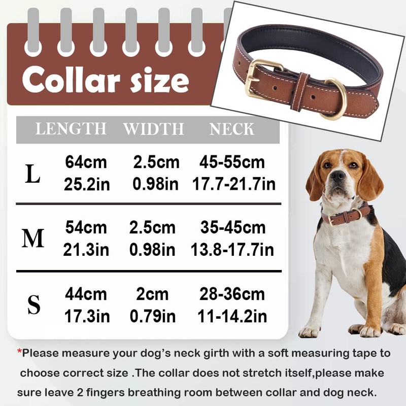 Genuine Leather Padded Dog Collar Comfortable Strong Soft Collars Best