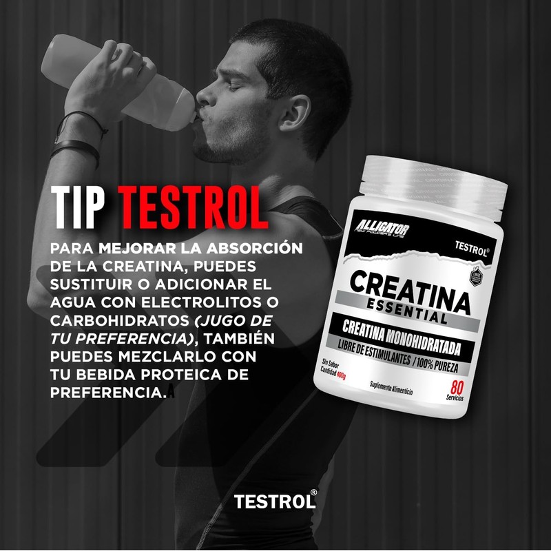 Testrol Creatina Essential en Polvo Creatina Monohidratada Apoyo a Potencia,
