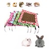 Small Animal Hammock with Rattan Mat, 2-Piece Set, for Guinea