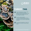 Turkey Tail Mushroom Extract - Faster Absorption Than Turkey Tail